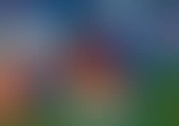 Nature morte (preview)