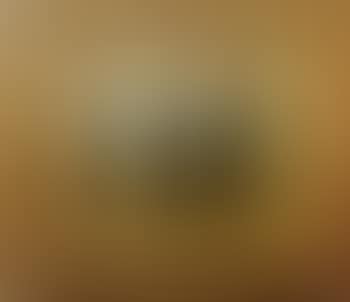 Figure by an old cottage with woodland (preview)