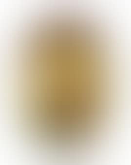 Vase (preview)