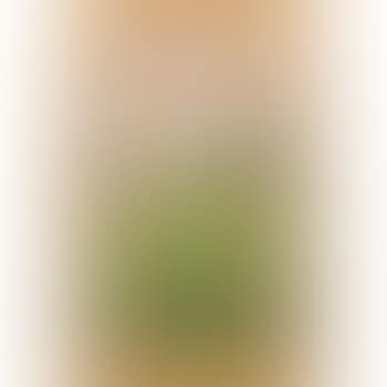 Springtime meadow landscape (preview)