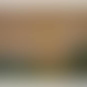 Afternoon Haze (preview)