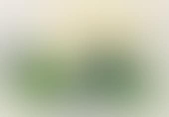 Composition in Green (preview)