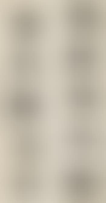Calligraphy couplet in clerical script (preview)