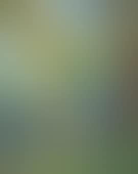 Autumn among the willows (preview)