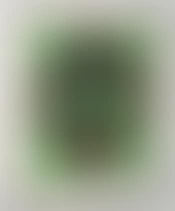Kopf (preview)