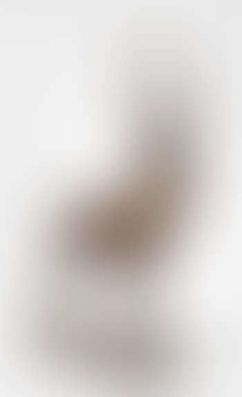 Cerf (preview)
