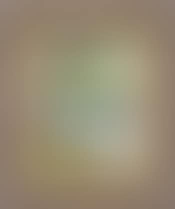Untitled (Reflections on a lake) (preview)