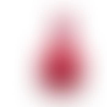 Vase (preview)