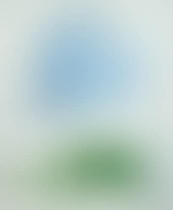 Blue and White Porcelain (preview)