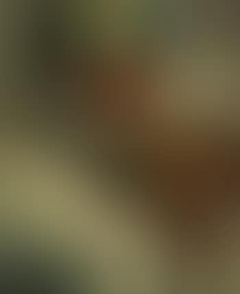 Moro esclavo (preview)