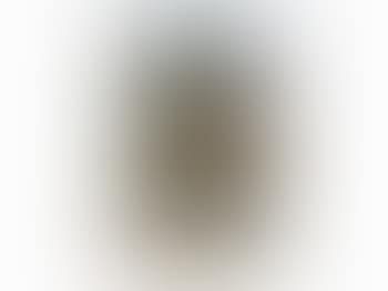 Homo Humus Come Va 10002 Nights (preview)