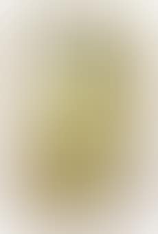 Untitled (Sand Tray with Sun Face) (preview)