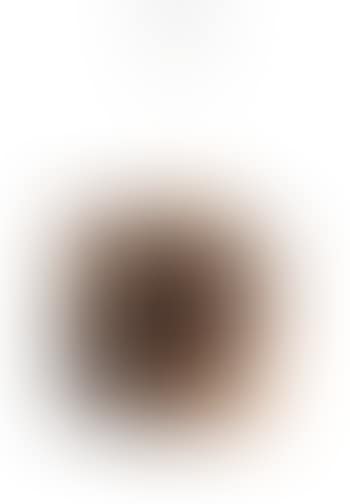 Ceiling light (preview)