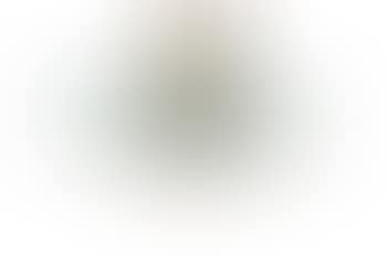 Ceiling light (preview)