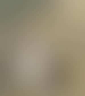 An album of ten erotic paintings (preview)