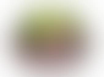 A Vase (preview)