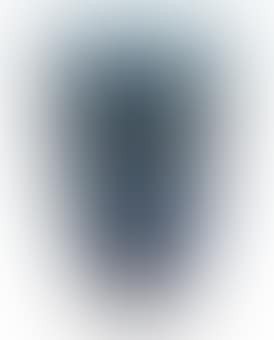 A Vase by Louis Majorelle (preview)
