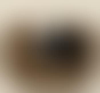 Brown Image (T. & H. 30) (preview)