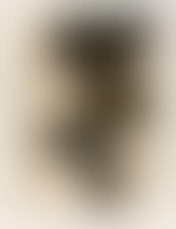 Three Images (T. & H. 54) (preview)