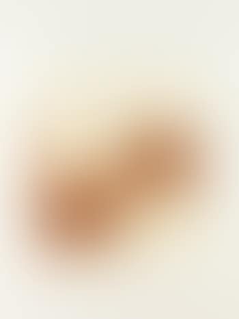 The Desert Sand (L. G78) (preview)