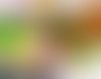 Verweis (preview)