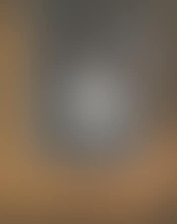 Portrait of Suzanne (preview)