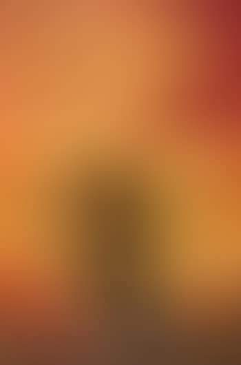 Painting for W.H. Carothers (preview)