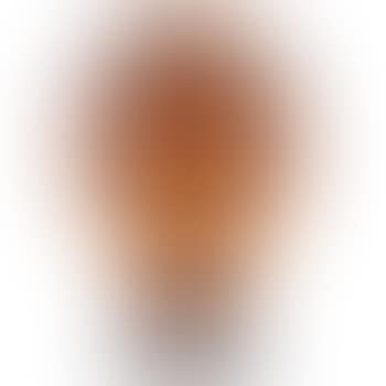 Vase (preview)