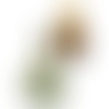 Vase (preview)