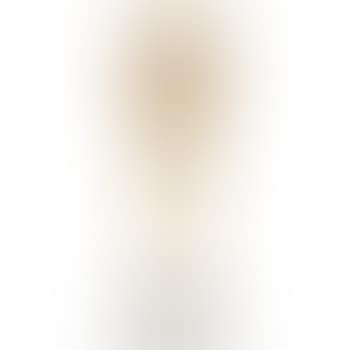 Vase (preview)