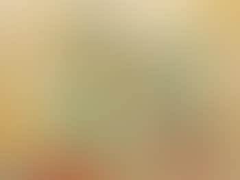 Vase de Fleurs (Vase of Flowers) (preview)