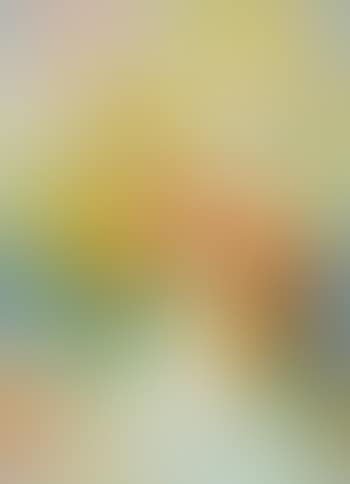 Woman with flowers (preview)