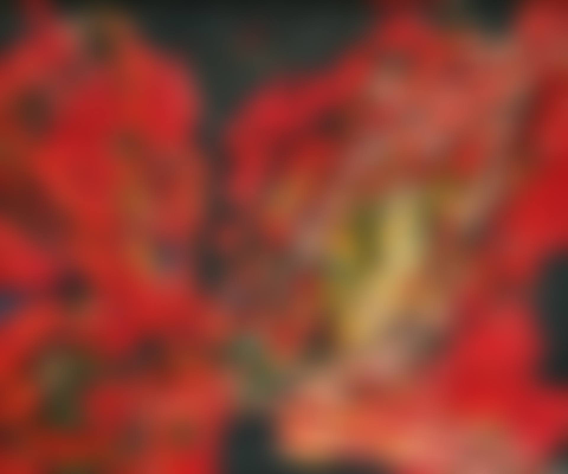 UNTITLED (preview)