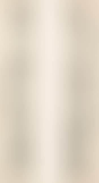 Calligraphy couplet in Shiguwen (preview)