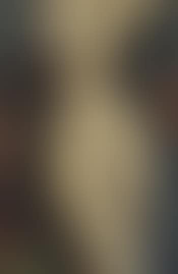 Nude, torso (preview)