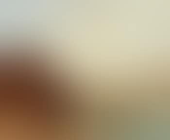 Venise (preview)