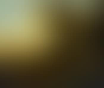 Landschaft mit Reitern (preview)