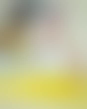 An hallucinated cow (preview)