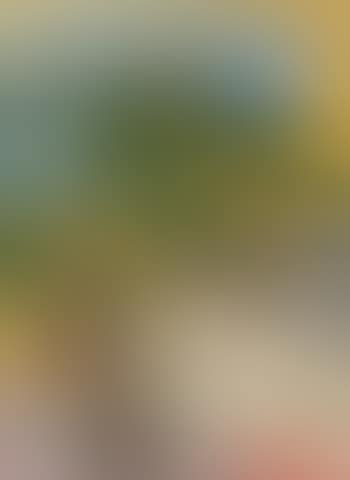 Nature morte (preview)