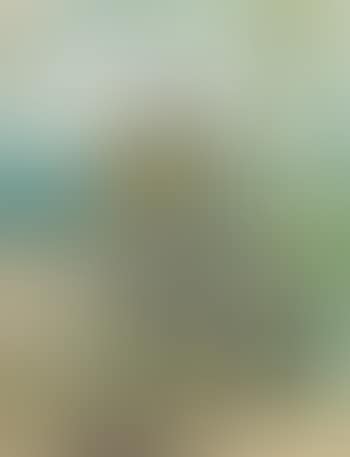 Der Stapellauf (preview)