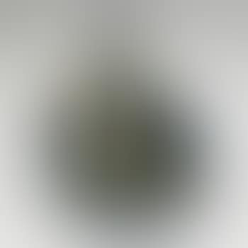 Figure (preview)