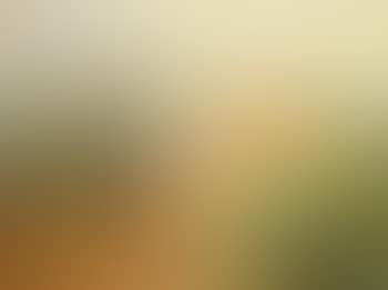 Paysage d'automne (preview)