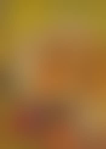 Irish terrier (preview)