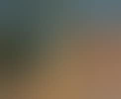 Paysage (preview)