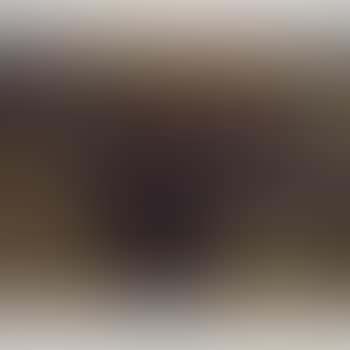 Der Verurteilte. (preview)