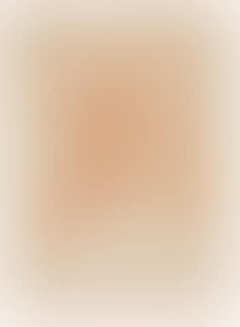 Portrait Of The Painter Cesar Arbasia, Bust-length, Within Red Chalk Framing Lines (preview)