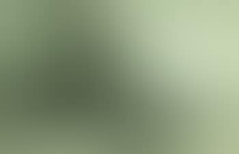 Paysage (preview)