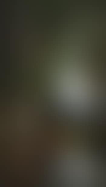 Sabbath morn (preview)
