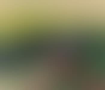 Landschaft bei Prerow (recto); Kind und nackte Frau (verso) (preview)