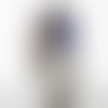 Phenomena 1 (preview)